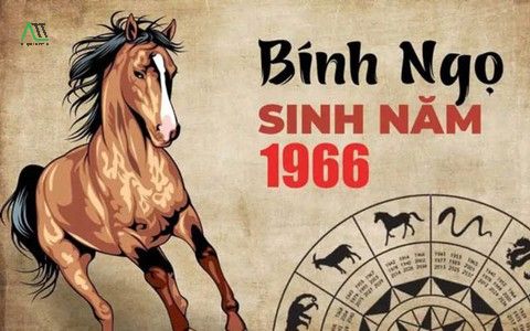sinh năm 1966 con gì