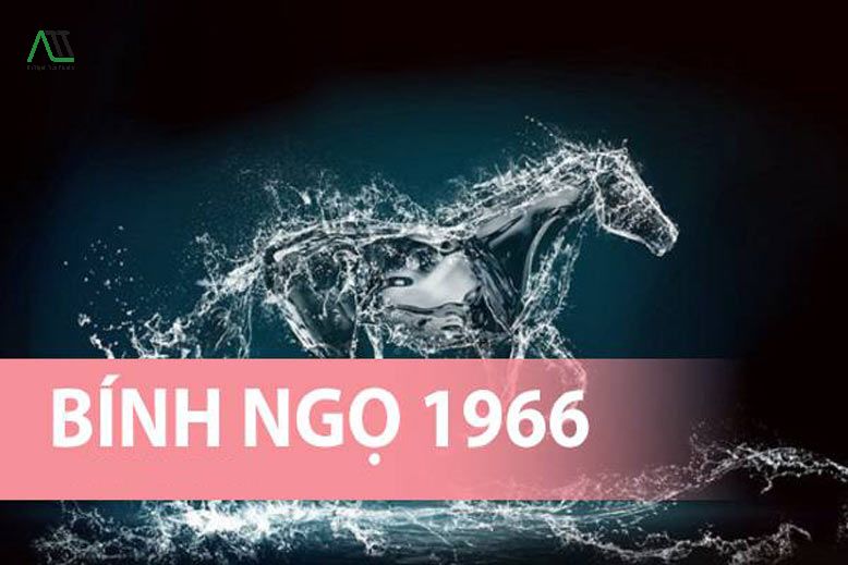 sinh năm 1966 con gì