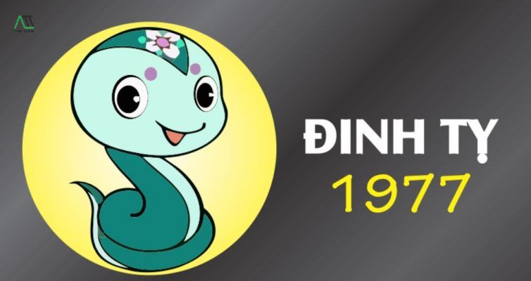 sinh năm 1977 hợp màu gì