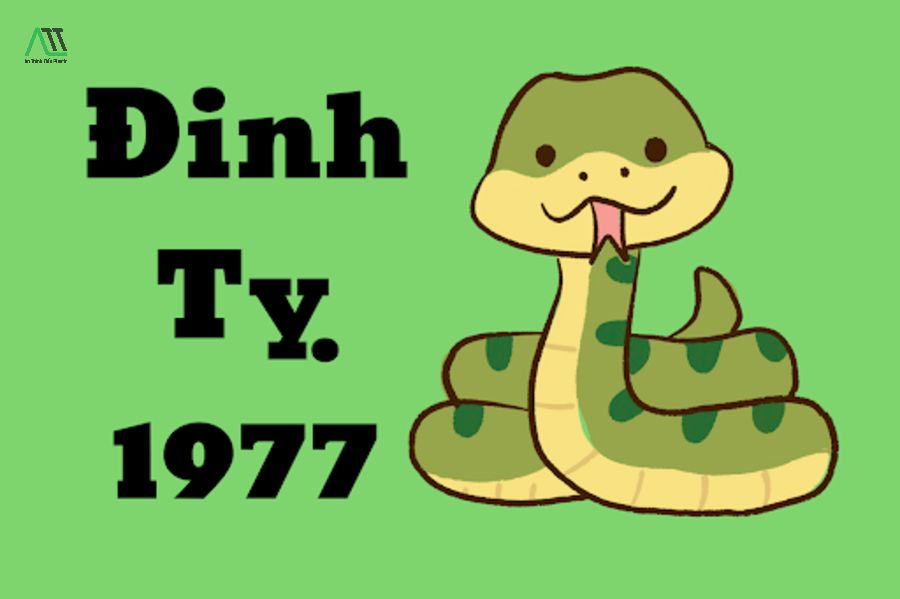 sinh năm 1977 hợp màu gì