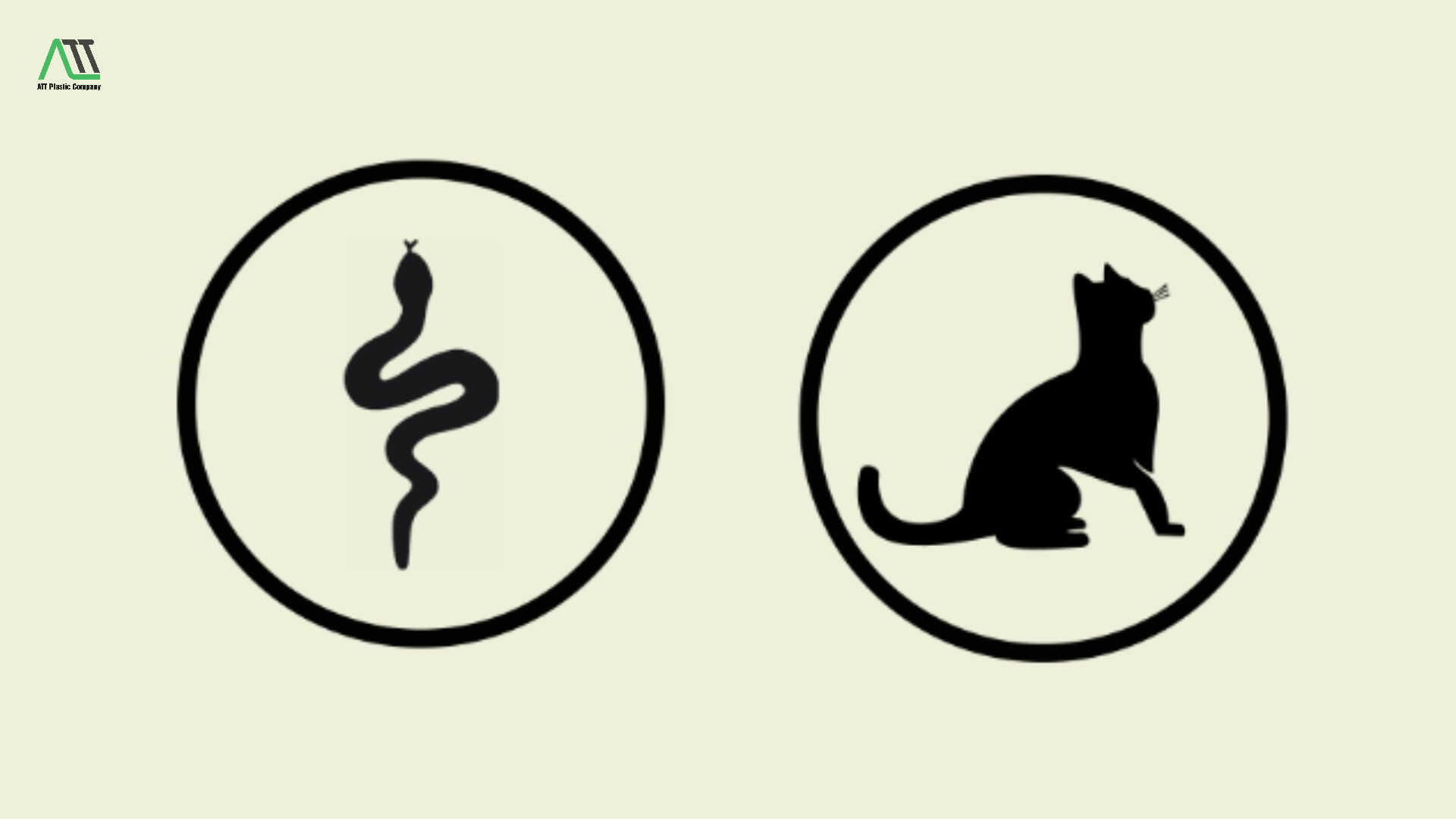 tuổi Mão có hợp với tuổi Tỵ không