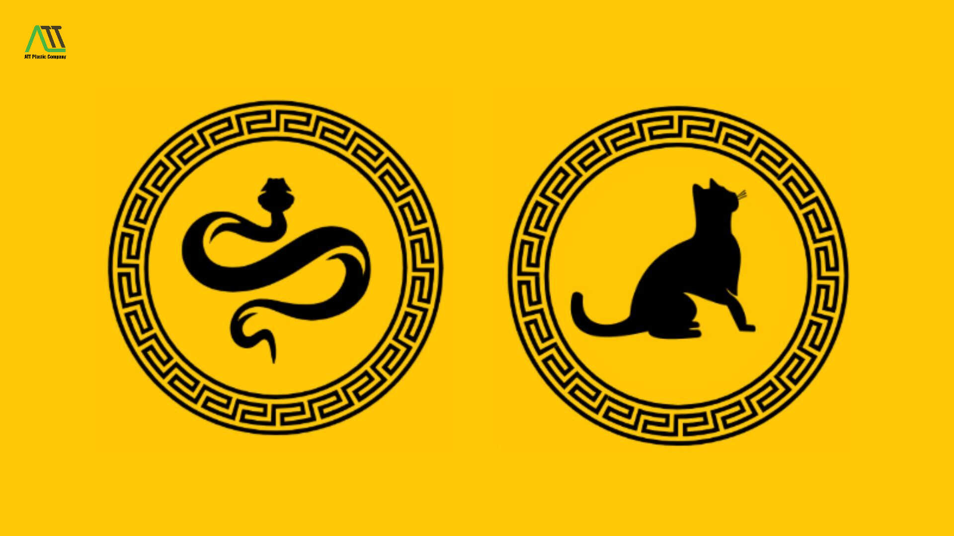 tuổi Mão có hợp với tuổi Tỵ không