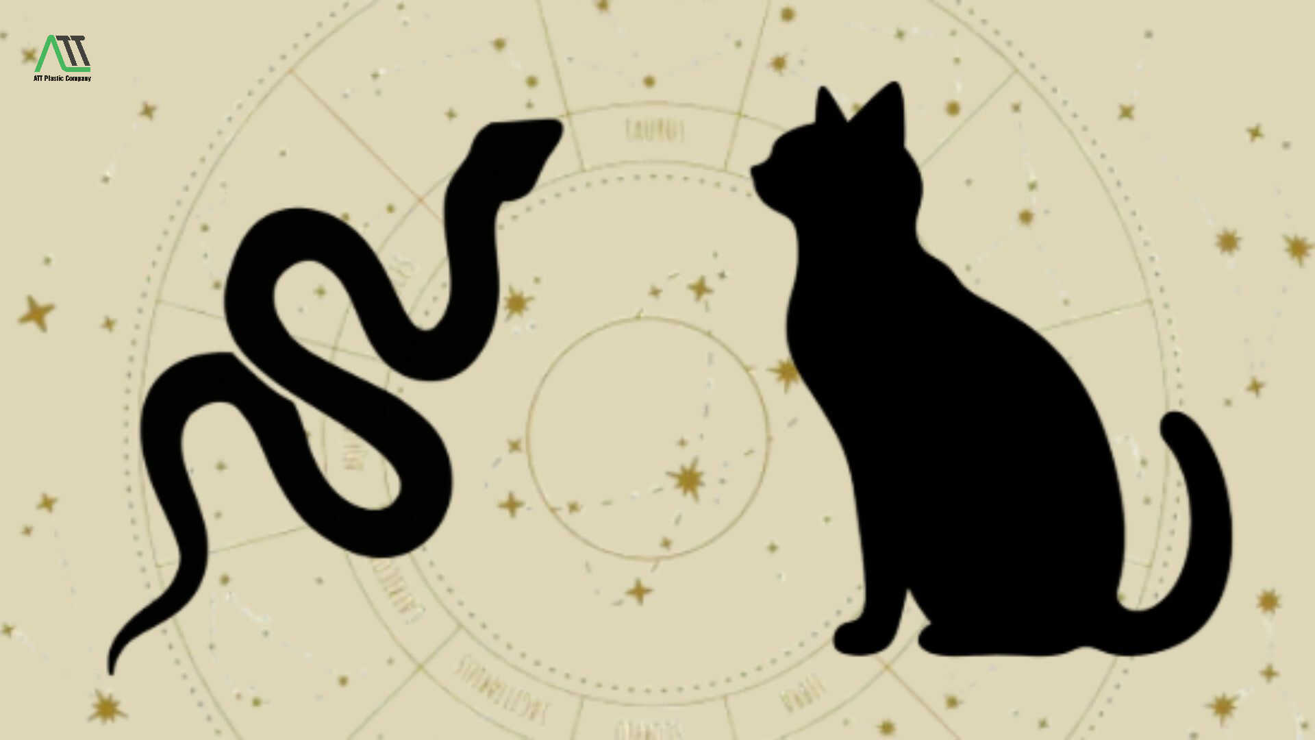 tuổi Mão có hợp với tuổi Tỵ không