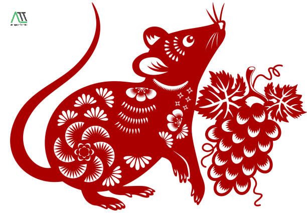 tuổi tý thuộc mệnh gì