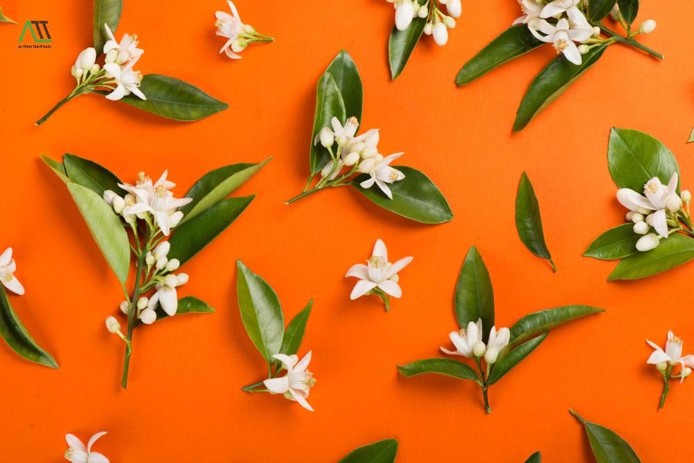 ý nghĩa của màu sắc