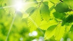 ý nghĩa của màu vàng