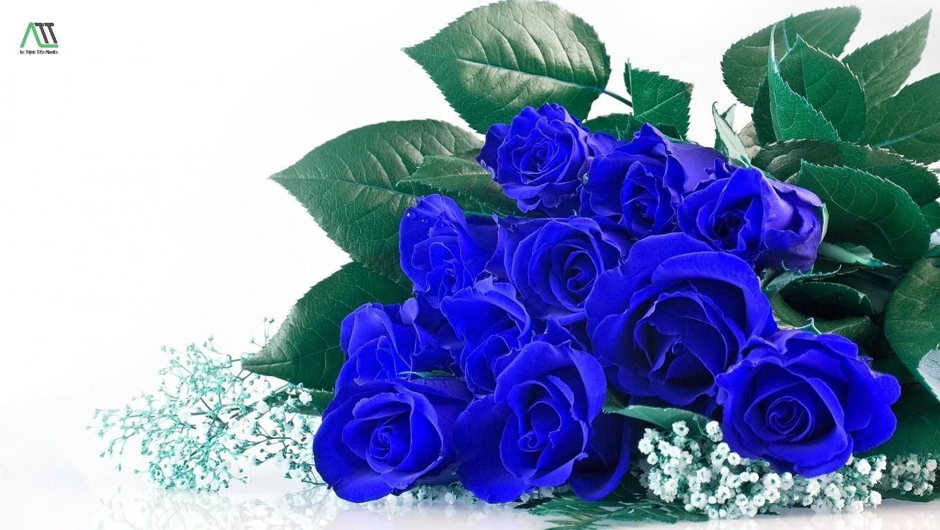ý nghĩa của màu xanh dương