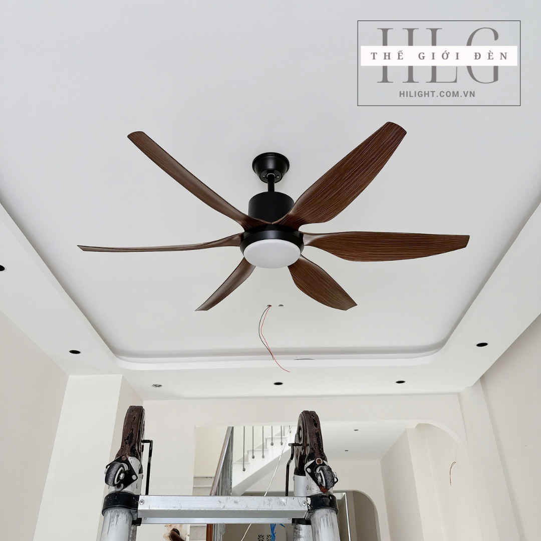 quạt trần đèn