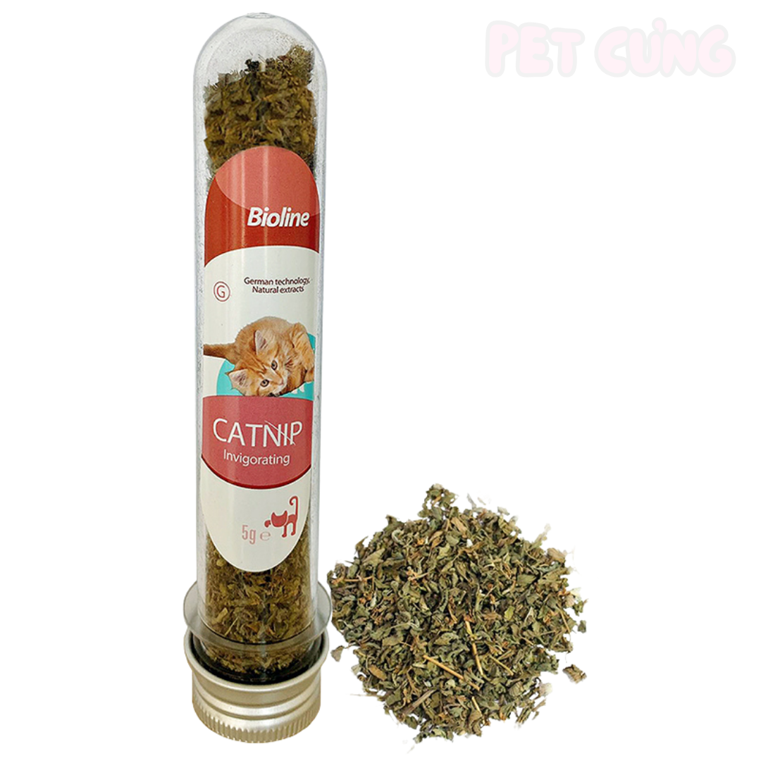 Catnip cho mèo làm từ cỏ mèo giúp mèo thư giãn và vui chơi - Pet Cưng