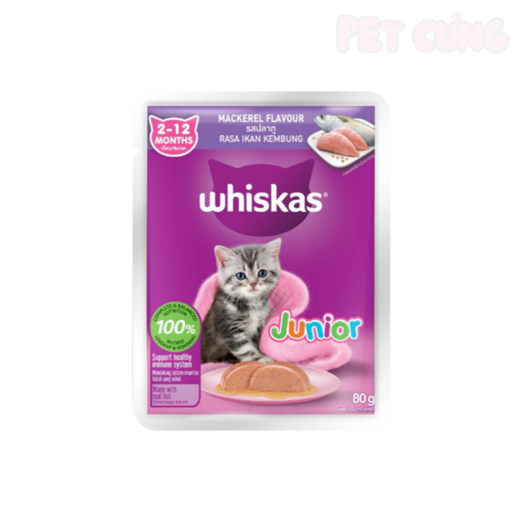 Pate Whiskas Junior dành cho mèo con - Pet Cưng