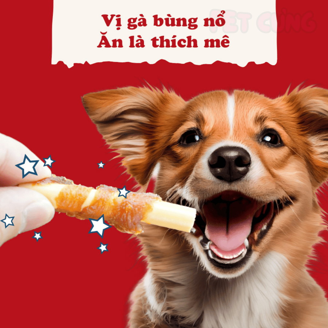 Que cuốn thịt gà mini Doggyman bánh thưởng huấn luyện cho chó 20 cây