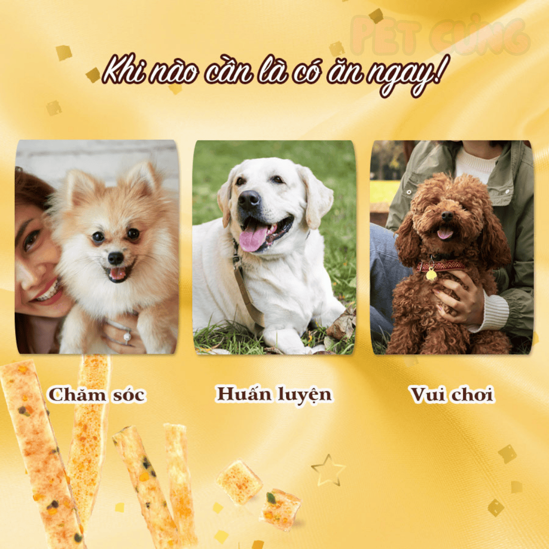 Que gà nướng mềm Doggyman SAYA bổ sung rau củ cho chó 100g - Pet Cưng