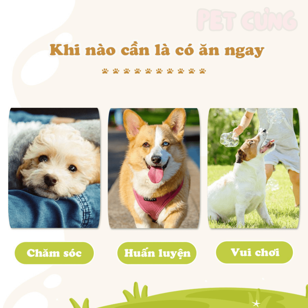 Xương da bò tự nhiên Doggyman cho chó gặm sạch răng 5 cây - Pet Cưng