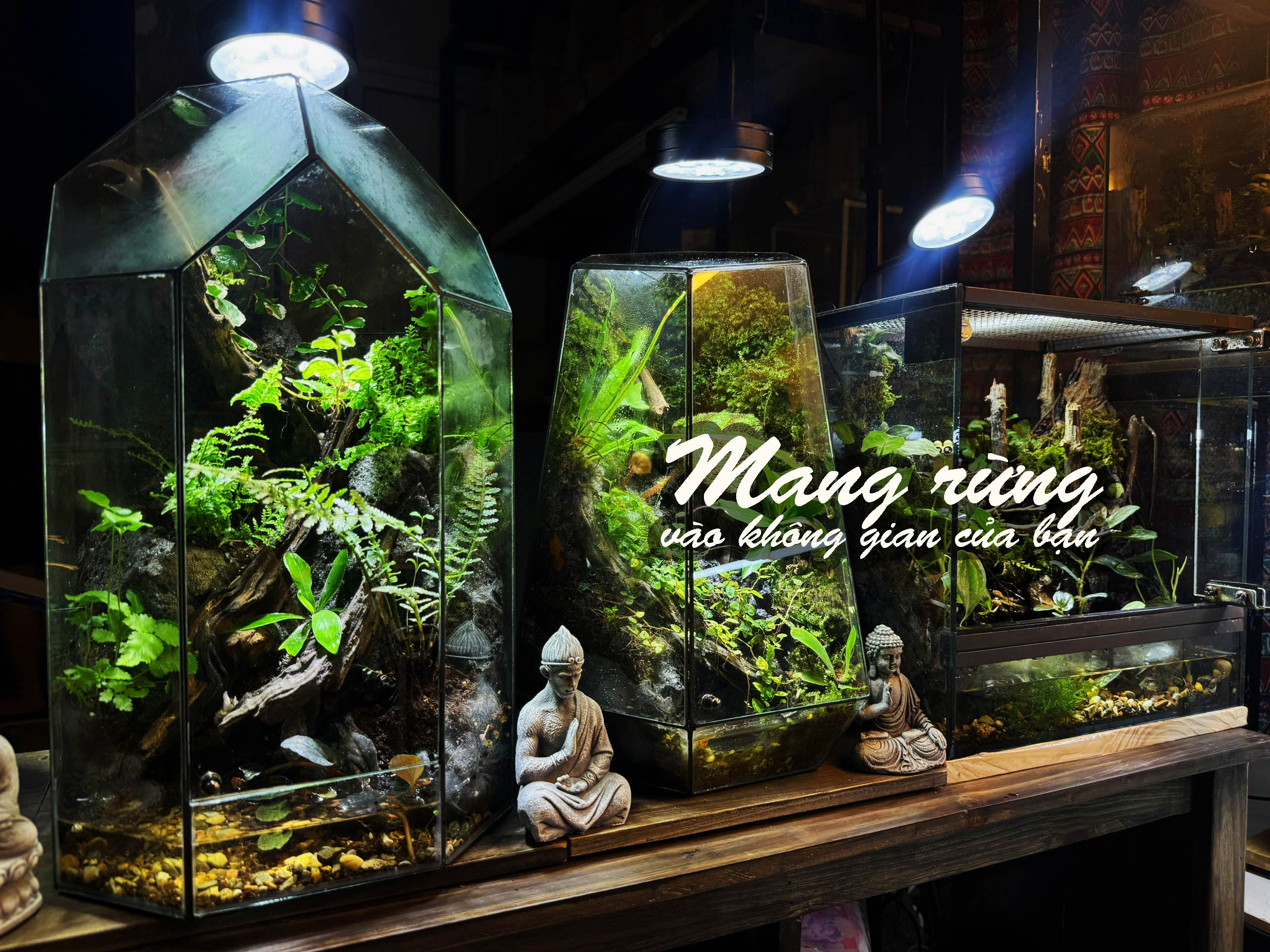 Thế giới ốc mượn hồn