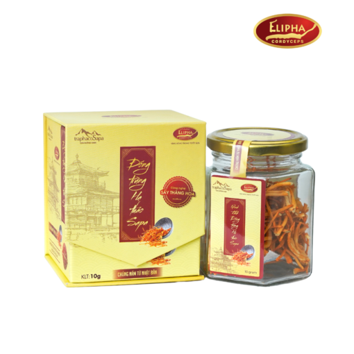 Đông trùng hạ thảo Sapa khô 10g/lọ