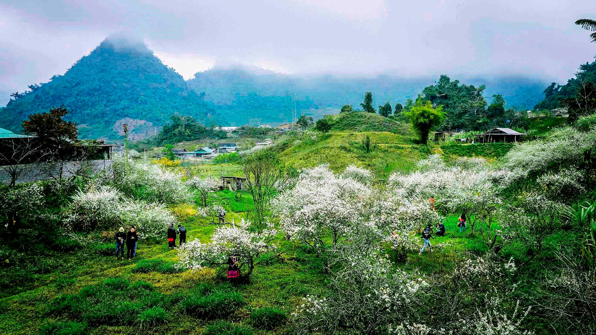 Chinh phục "Cổng trời" Mường Lống: Săn mây và khám phá "Đà Lạt của xứ Nghệ" giữa miền biên viễn.