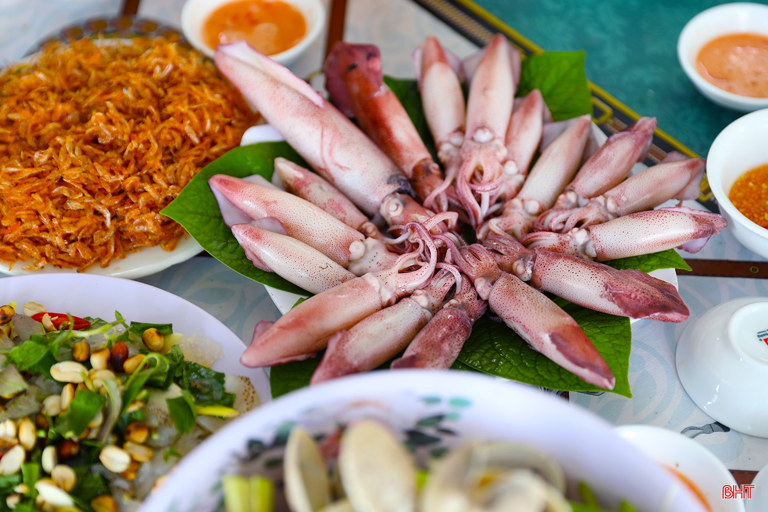 MỰC NHẢY VŨNG ÁNG – HƯƠNG VỊ BIỂN KHƠI VÀ CẢM XÚC KHÓ QUÊN CỦA DU KHÁCH KHI ĐẾN HÀ TĨNH