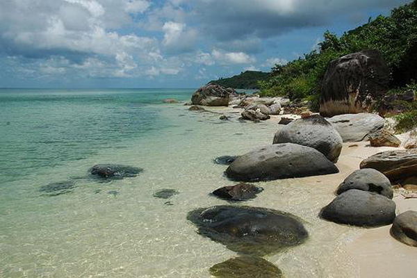 Kinh Nghiệm Du Lịch Thiên Cầm Hà Tĩnh Mới Nhất 2026: "Cung Đàn Biển" Vẫy Gọi