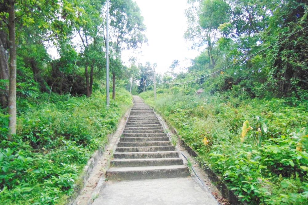 Những bậc thang dài cùng hàng cây xanh ngát bao bọc chùa Cầm Sơn (Ảnh: Sưu tầm)