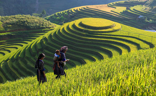 Bản Lao Chải Tả Van địa điểm check-in Sapa yên bình