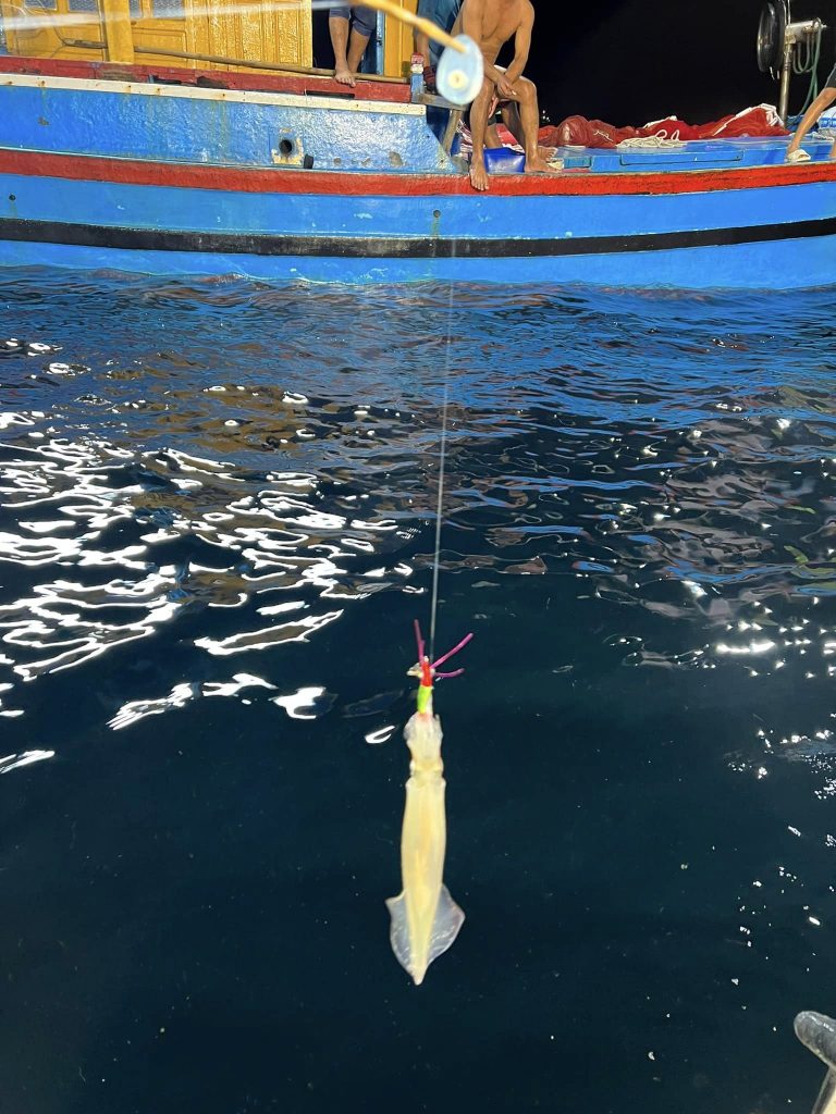 câu mực nhảy tại vũng áng kỳ anh hà tĩnh