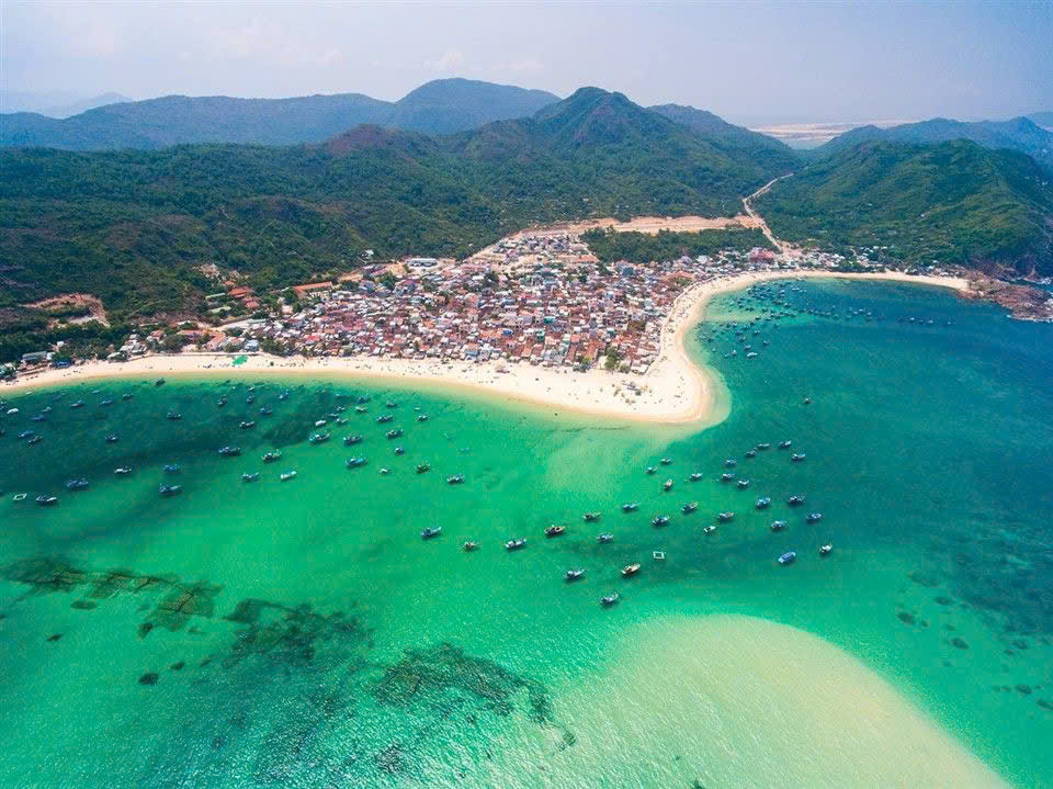 Vẻ đẹp hoang sơ của đảo Hòn Khô Quy Nhơn mùa rong mơ vàng bồng bềnh dưới làn nước trong vắt