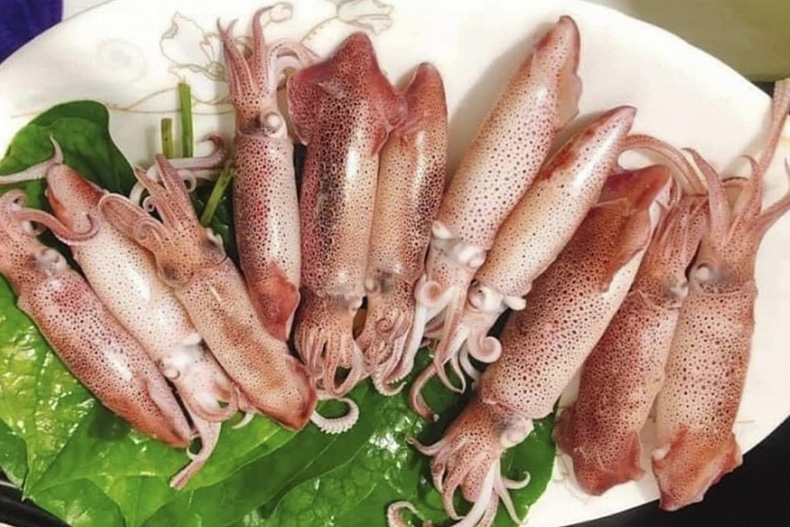 Mực tươi sống được chế biến ngay tại bè, đảm bảo độ giòn ngọt tự nhiên 100%. (Nguồn: Sưu tầm)