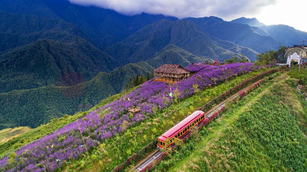 Thung lũng Mường Hoa địa điểm check-in Sapa mùa lúa chín