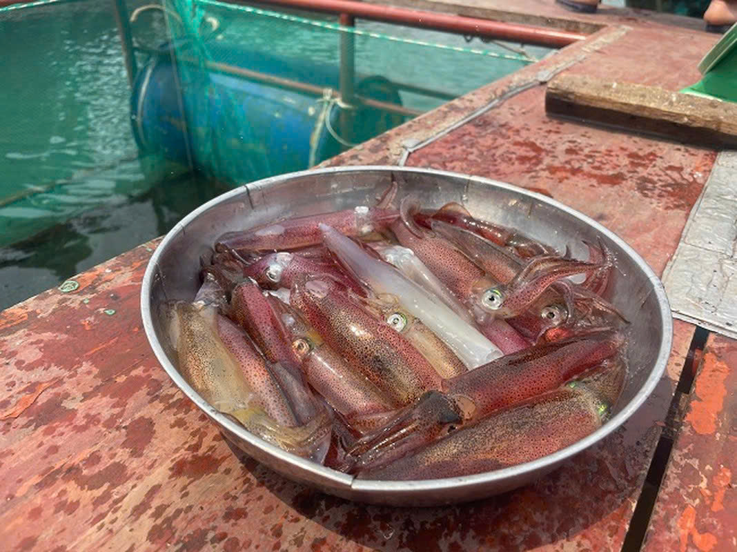 8/3 Nên Đi Đâu? Top 5 Địa Điểm Ở Hà Tĩnh Lãng Mạn "Đốn Tim" Phái Đẹp - Bí Kíp Săn Combo Giá Rẻ