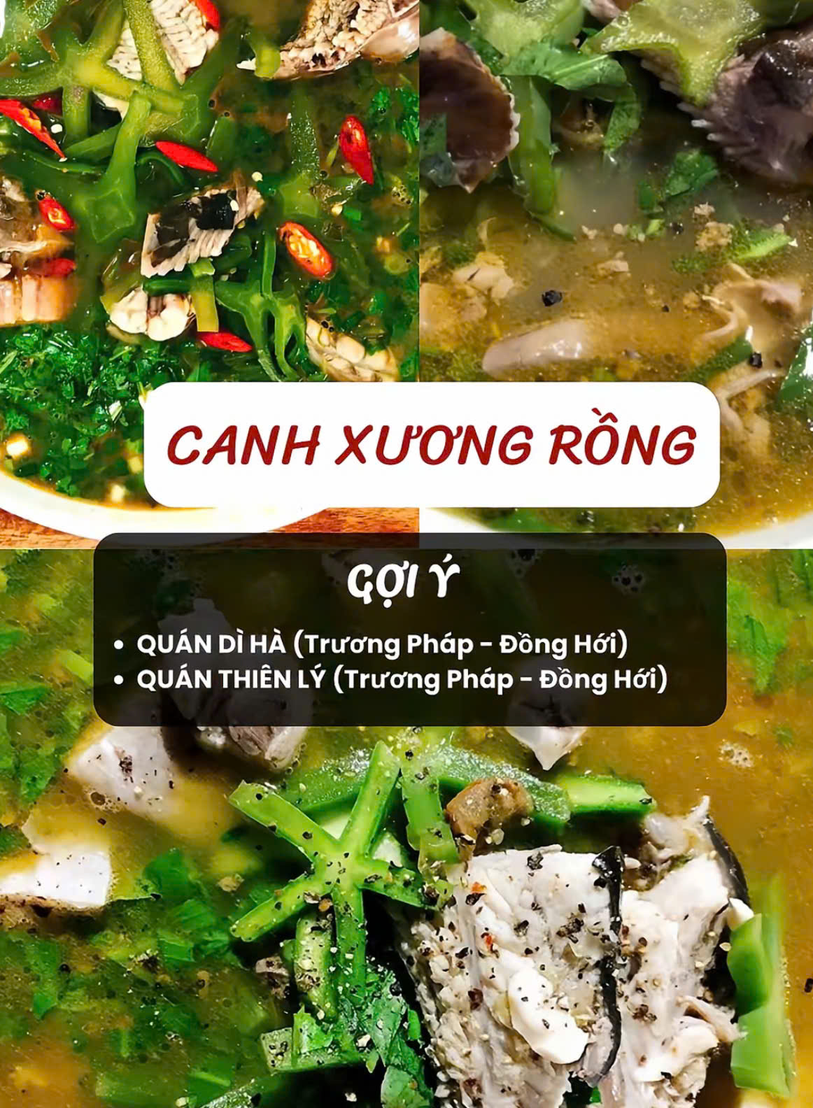 Canh Xương Rồng QUẢNG BÌNH