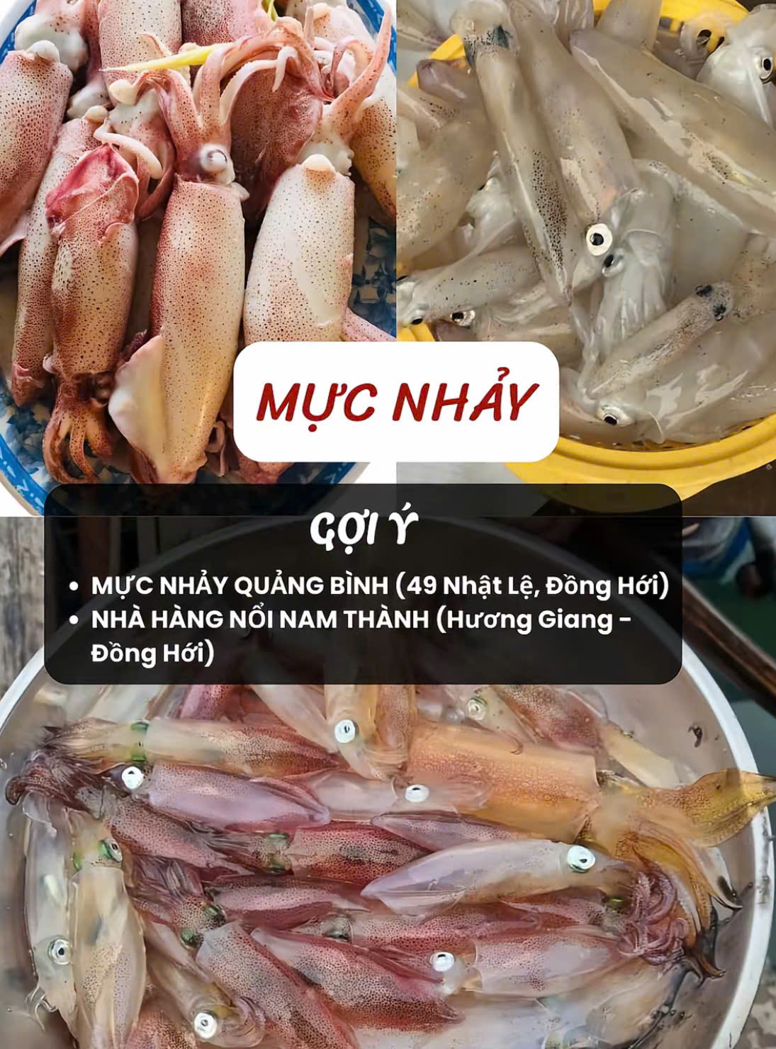 Mực Nhảy Đồng Hới