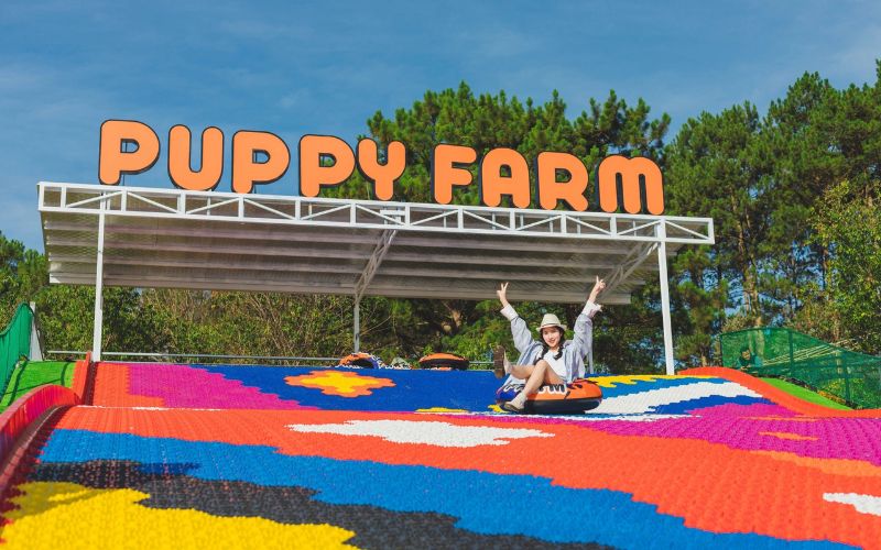 Tour Hà Nội - Đà Lạt - Bảo Lộc - Hà Nội 4 ngày 3 đêm trọn gói