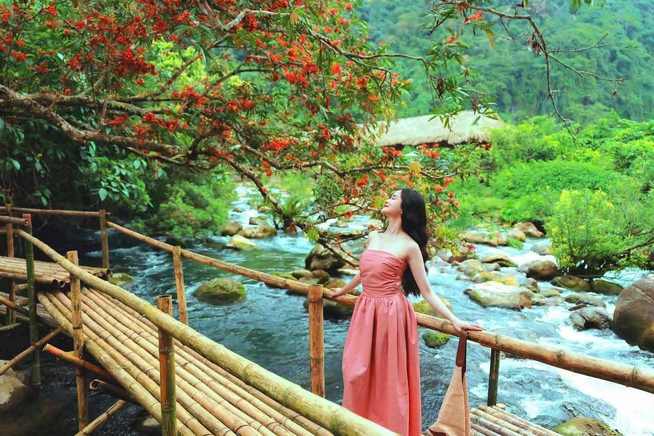 TOUR GHÉP QUẢNG BÌNH 3 NGÀY 2 ĐÊM ( Phong Nha – Nhật Lệ – Động Thiên Đường – Suối Nước Moọc – Vũng Chùa – Đá Nhảy)