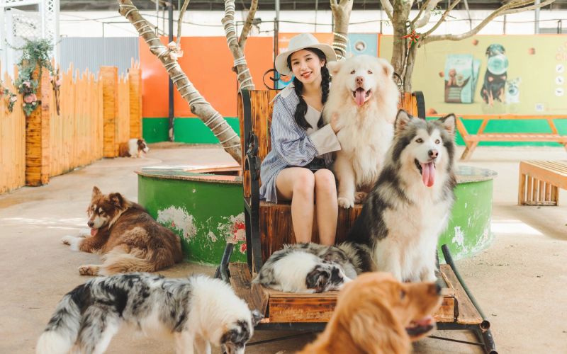 Tour Hà Nội - Đà Lạt - Bảo Lộc - Hà Nội 4 ngày 3 đêm trọn gói