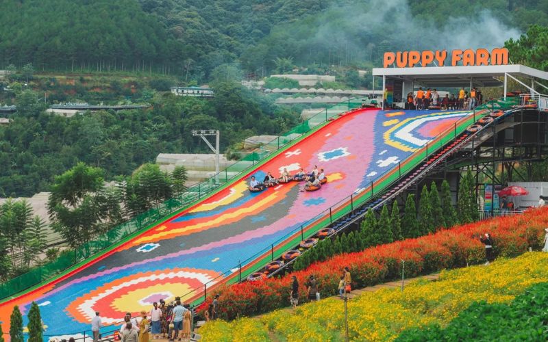 TOUR HÀ TĨNH - ĐÀ LẠT - BẢO LỘC 4 NGÀY 3 ĐÊM