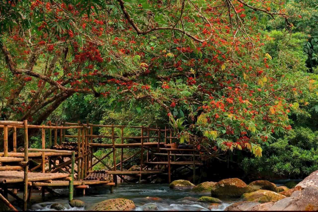 TOUR GHÉP QUẢNG BÌNH 3 NGÀY 2 ĐÊM ( Phong Nha – Nhật Lệ – Động Thiên Đường – Suối Nước Moọc – Vũng Chùa – Đá Nhảy)