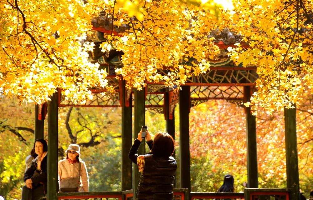 TOUR BẮC KINH: VẠN LÝ TRƯỜNG THÀNH - DI HÒA VIÊN - BẮC KINH HUTONG - VƯƠNG PHỦ TỈNH - PHỐ TIỀN MÔN (NO SHOPPING) 5N4Đ