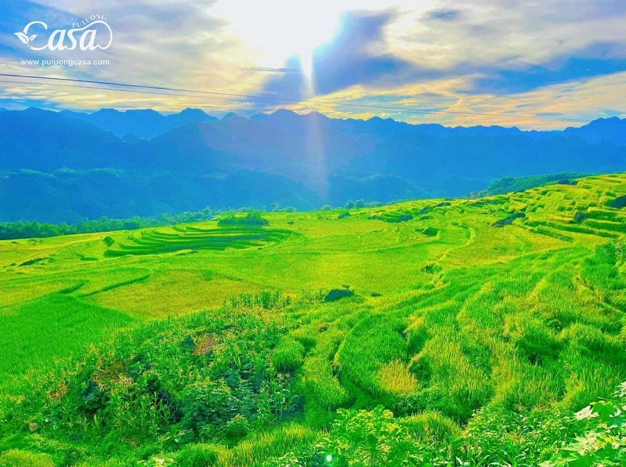 Pù Luông Casa Resort