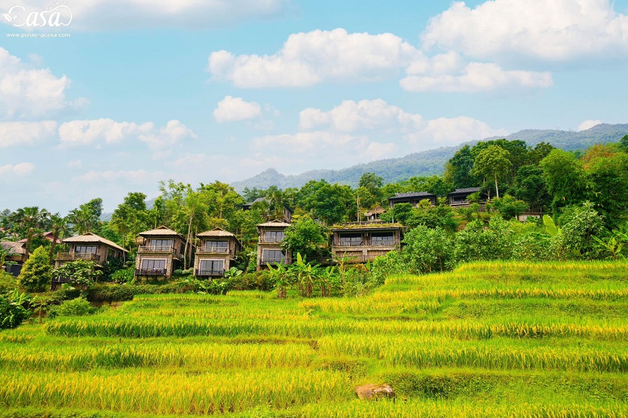 Pù Luông Casa Resort