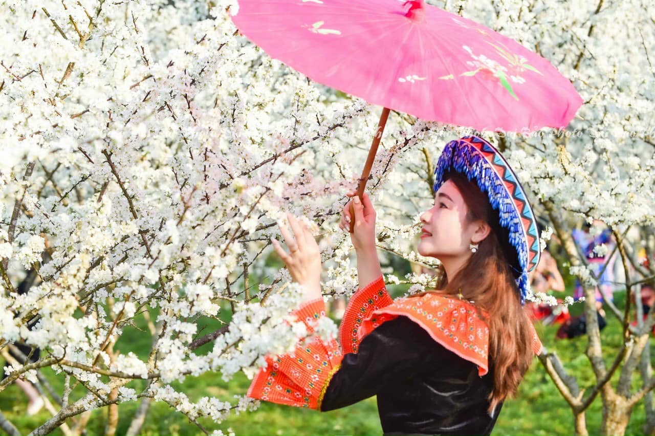 TOUR DU LỊCH HÀ NỘI – SAPA – BẢN CÁT CÁT – HÀM RỒNG 2N1Đ TRỌN GÓI