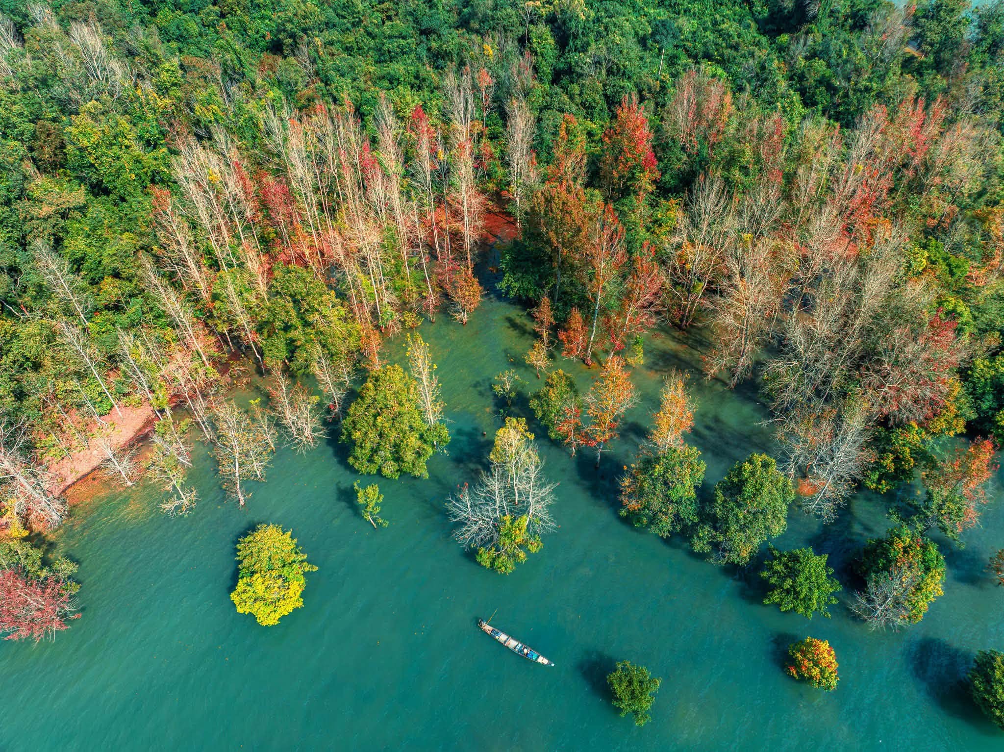 TOUR GHÉP QUẢNG BÌNH 3 NGÀY 2 ĐÊM ( Phong Nha – Nhật Lệ – Động Thiên Đường – Suối Nước Moọc – Vũng Chùa – Đá Nhảy)