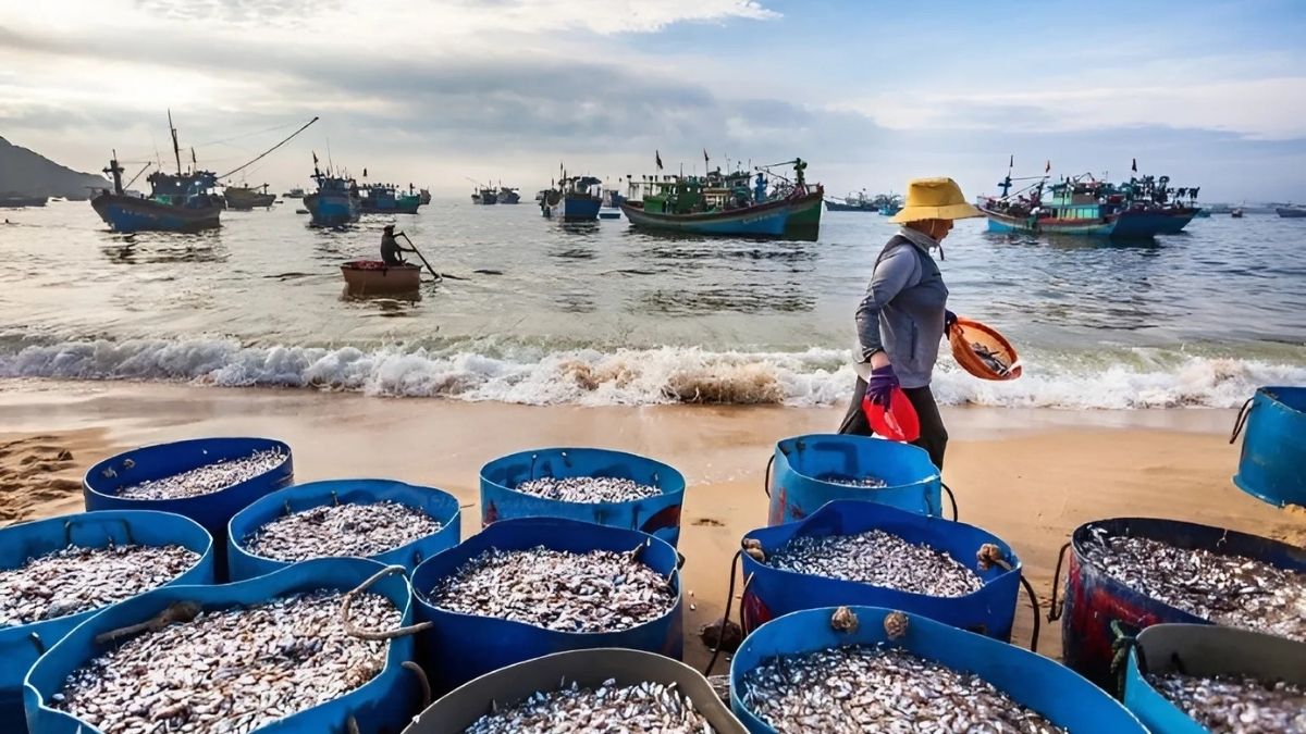 TOUR NGHỆ AN QUY NHƠN 3 NGÀY 3 ĐÊM
