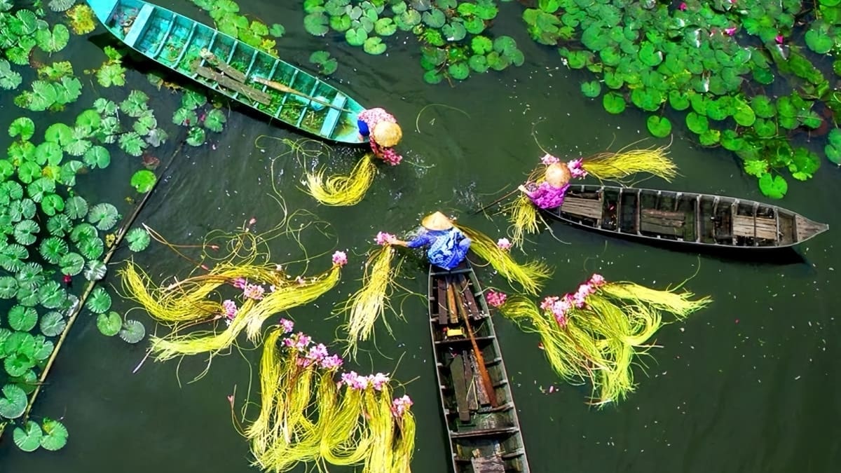 Tour Hà Nội - Cần Thơ - Sóc Trăng - Côn Đảo  4 ngày 3 đêm