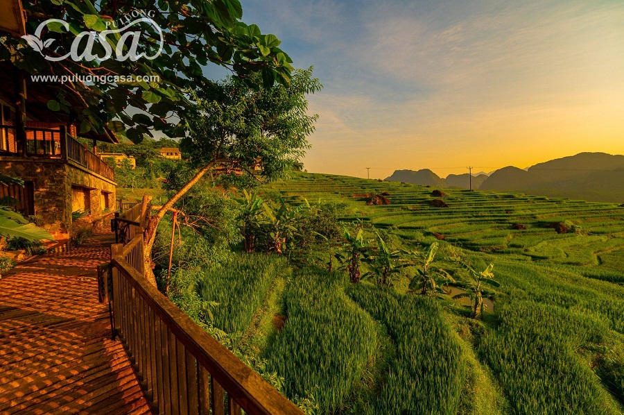 Pù Luông Casa Resort