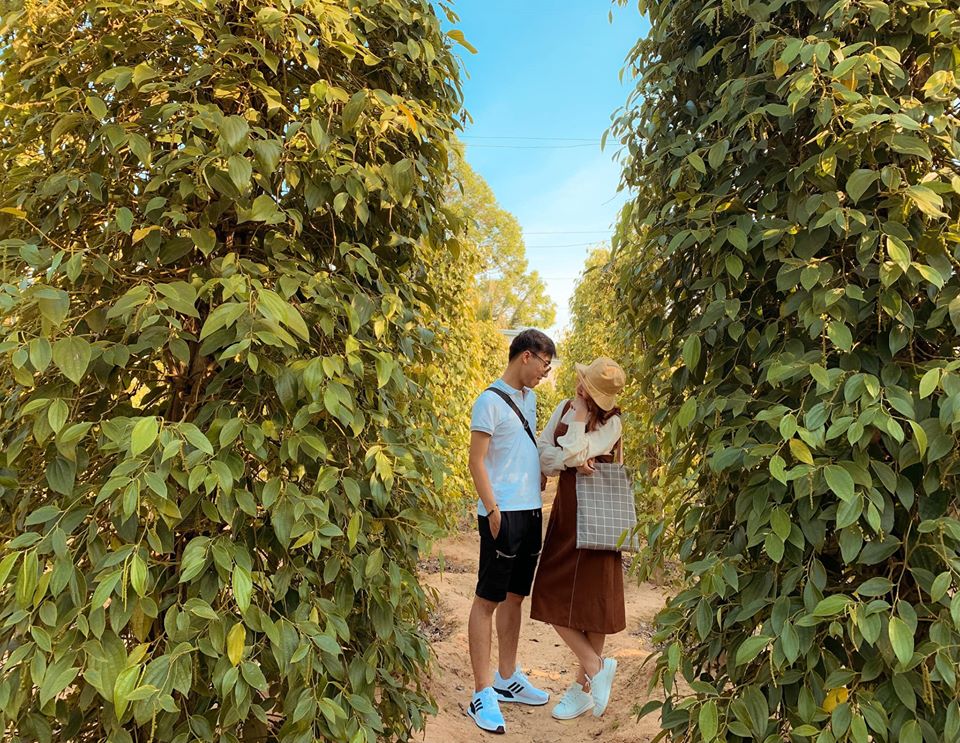 TOUR HÀ NỘI - PHÚ QUỐC 4 NGÀY 3 ĐÊM