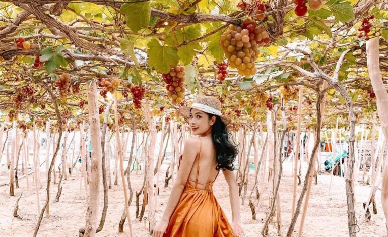 TOUR VINH- CAM RANH- MŨI NÉ- NINH THUẬN-NHA TRANG 4N3Đ