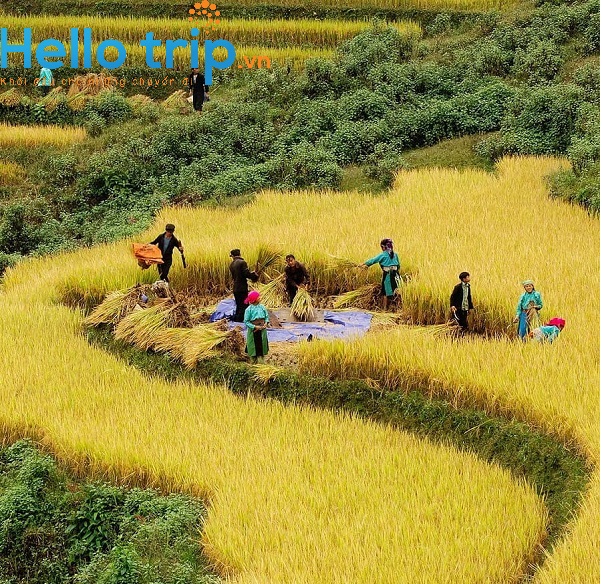 Tour Hà Giang mới nhất 2023