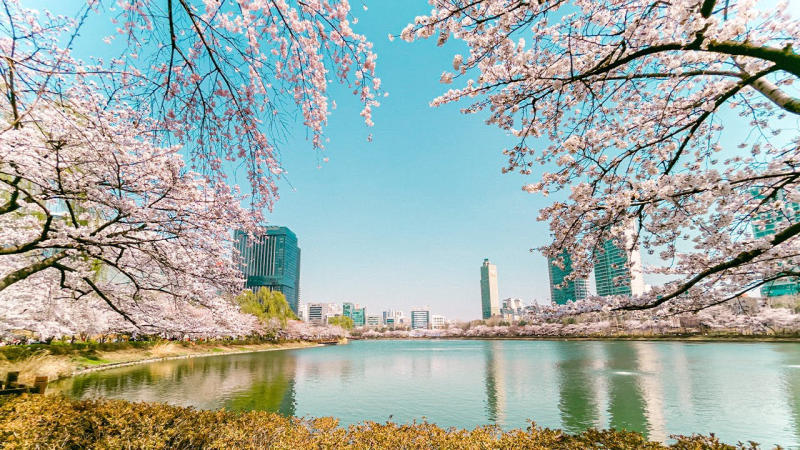 HÀ NỘI - SEOUL - NAMI - NAMSAN TOWER - DU THUYỀN SÔNG HÀN - EVERLAND - THƯ VIỆN STARFIELD