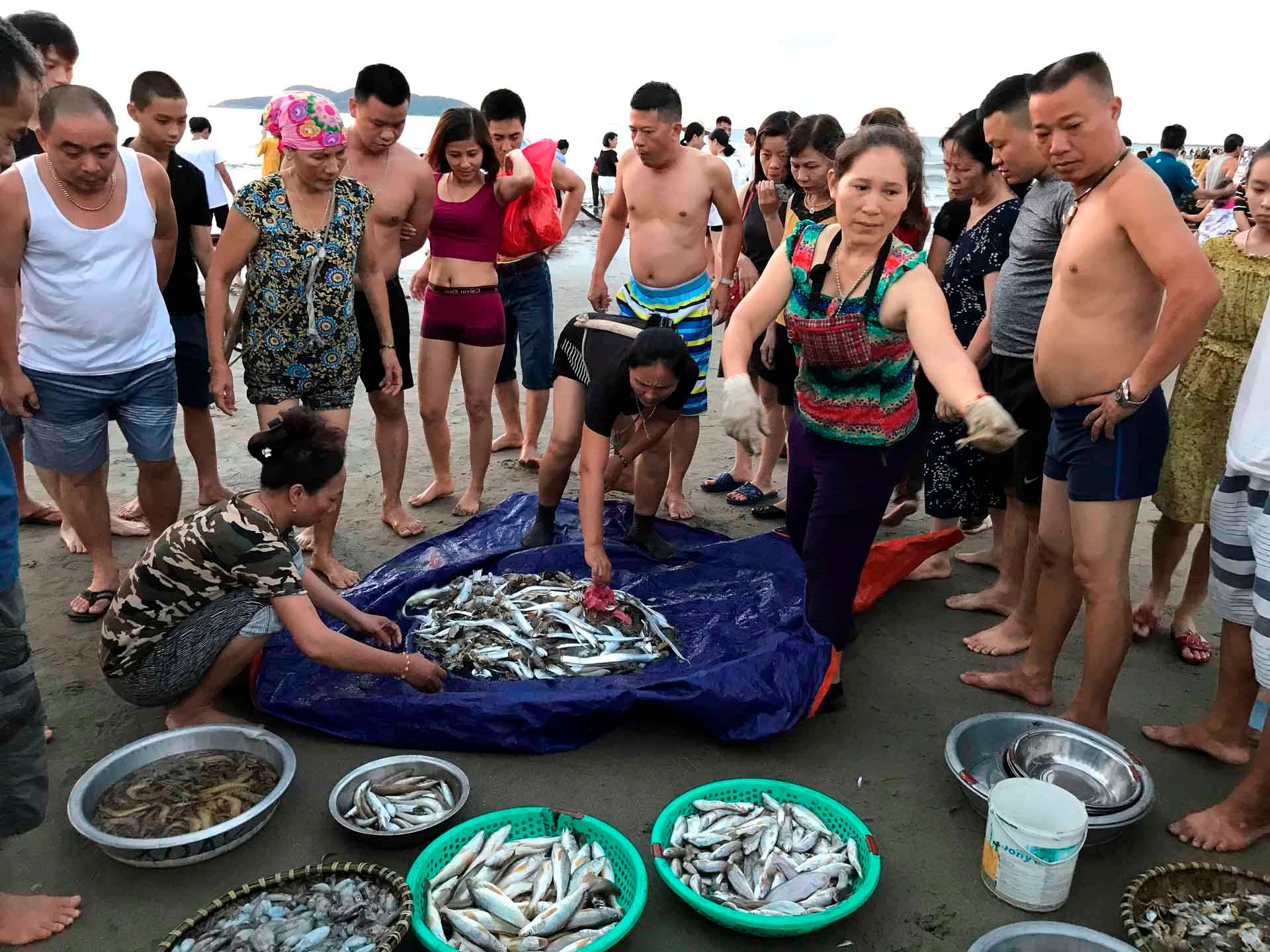 Tour du lịch biển Cửa Lò 3N2Đ: Teambuilding - Biển Cửa Lò - Vinwonder Cửa Hội