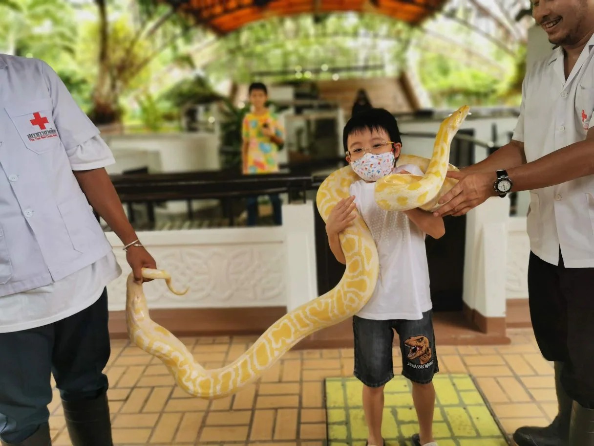 Tour Thái Lan 5 ngày 4 đêm khởi hành từ Tp.Hồ Chí Minh